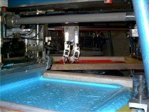 Screen Printing, Illustration and Design
